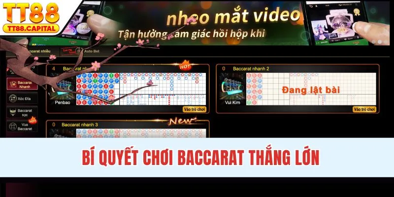 Blog Cá Cược TT88 - Tin Tức Và Mẹo Chơi Chuyên Sâu 2026 - spark69