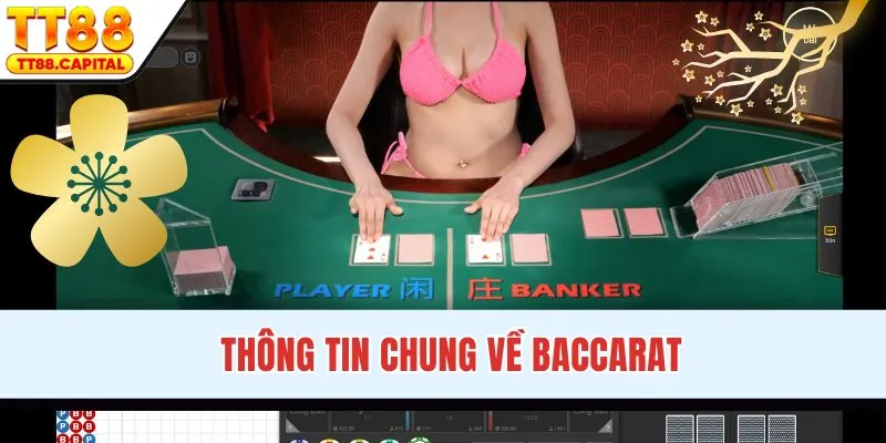 Bí Quyết Chơi Baccarat - Bí Kíp Sinh Lời 1 Ăn 10 Cực Hay - spark69
