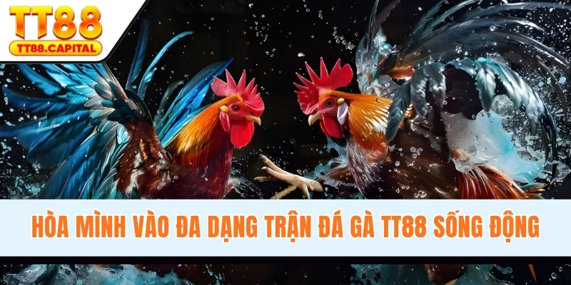 Đá Gà TT88 - Sân Chơi Nổi Tiếng, Kịch Tính Hàng Đầu 2026 - spark69